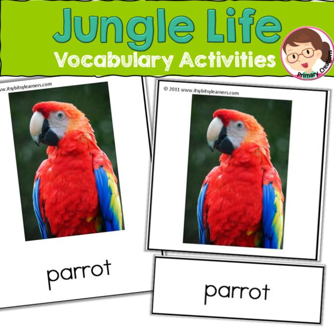 Vocabulary Activities - Jungle Animals Theme - Safari Animals Theme - Autism, SPED, PreK